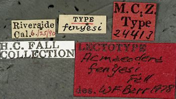 Media type: image;   Entomology 24413 Aspect: labels